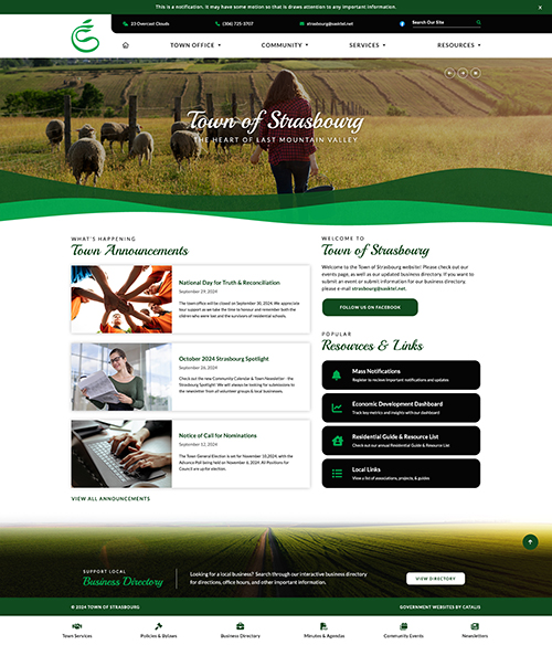 Strasbourg - Home Page mock