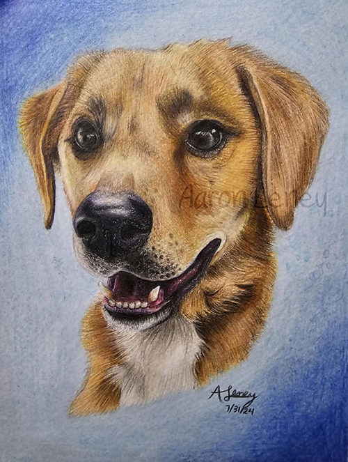 Pet portrait of Mack