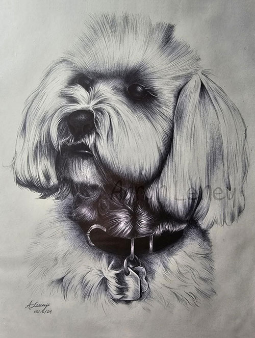 Pet portrait of Shepel
