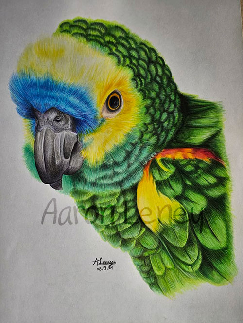 Pet portrait of Nadine