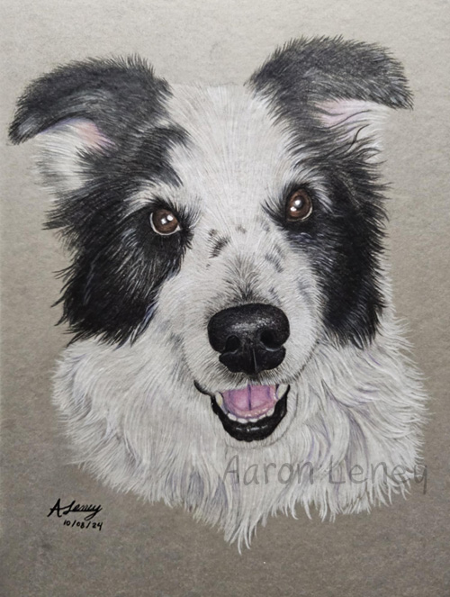 Pet portrait of Roxy
