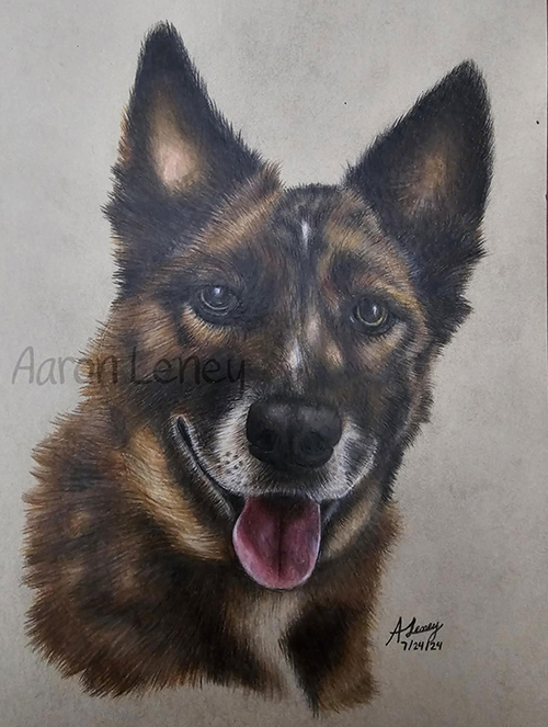 Pet portrait of Tank
