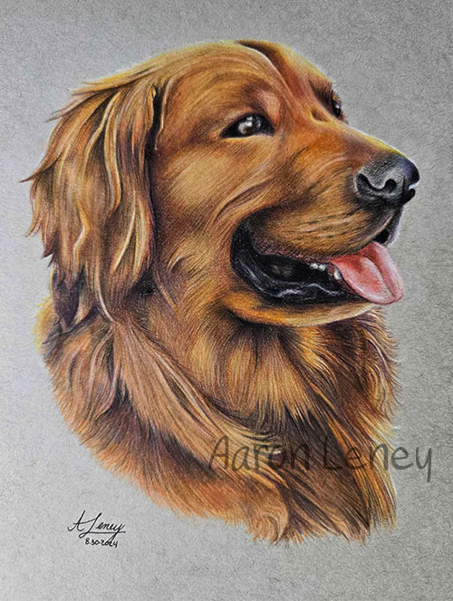Pet portrait of Theodore