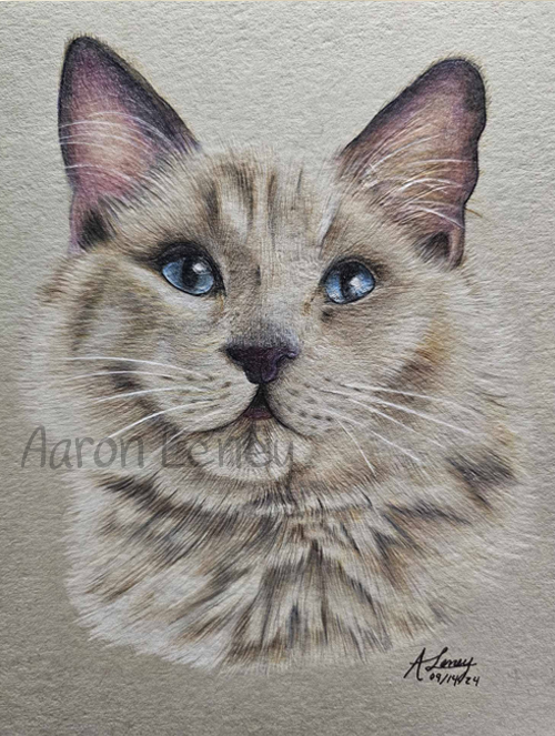 Pet portrait of Tribble