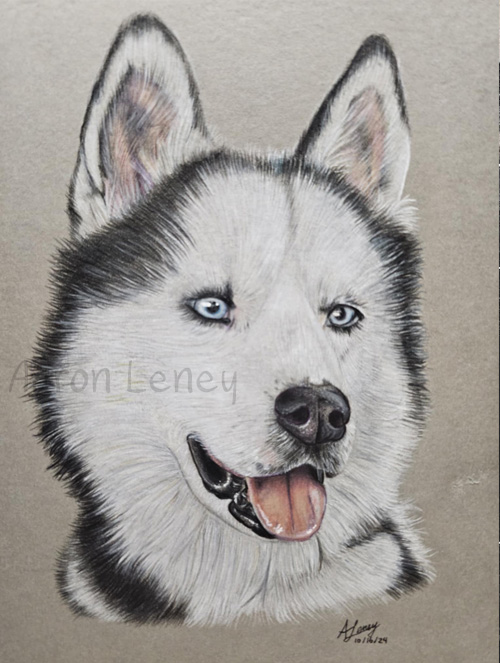 Pet portrait of Zeus